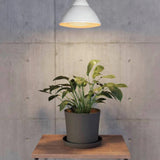 LED Horticultural Light Bulb