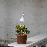LED Plant Growth Lighting Bulb