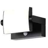 Black outdoor security light with motion sensor