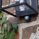 Black Pir sensor outdoor wall light