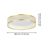 Modern indoor gold LED ceiling Light