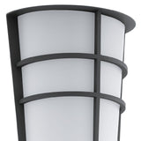 Anthracite Outdoor Wall Light