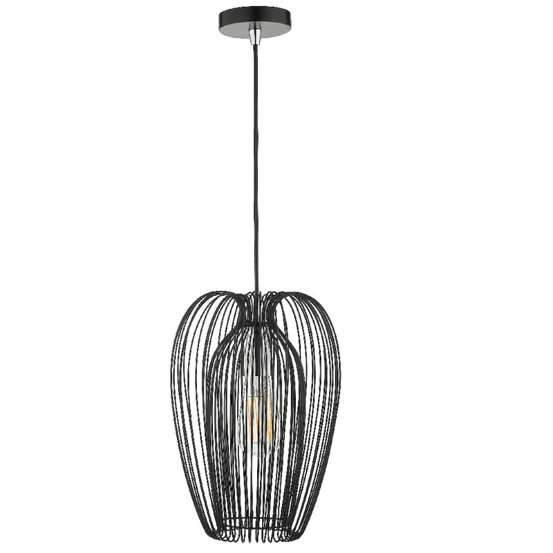 Matt Black Wired Cage Vintage Pendant Ceiling Light 23cm
