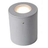 LED CCT Grey Outdoor Modern Cylindrical Flush Spot Light Coastal IP55
