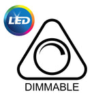 Dimmable Large Screw lamp
