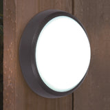 Anthracite Outdoor Round Wall & Ceiling Light