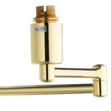 Polished Brass Traditional Double Swing Arm Wall Light