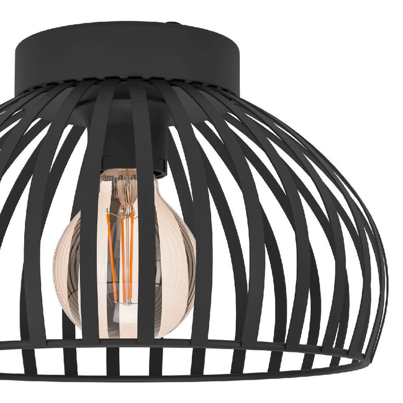 Black Industrial Caged Ceiling Light
