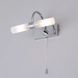 Chrome Switched Swan Neck Bathroom Light
